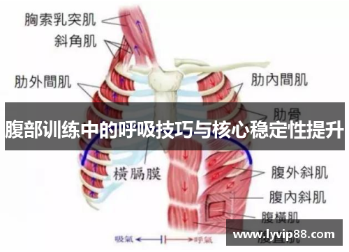 腹部训练中的呼吸技巧与核心稳定性提升